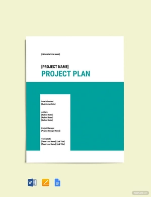 Software Project Closure Template