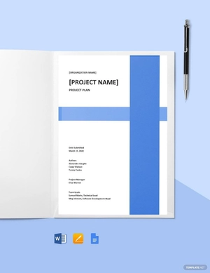 Software Release Management Template