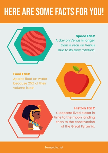 Free Factoid Example Sheet Template to Edit Online Free Factoid Example Sheet Template to Edit Online