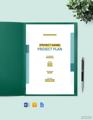 Software Acceptance Management Template Software Acceptance Management Template