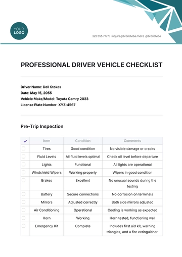 Free Professional Driver Vehicle Checklist Template to Edit Online