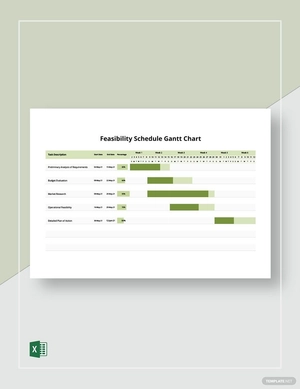 Feasibility Schedule Gantt Chart Template