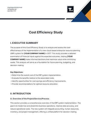 Free Cost Efficiency Study Template to Edit Online