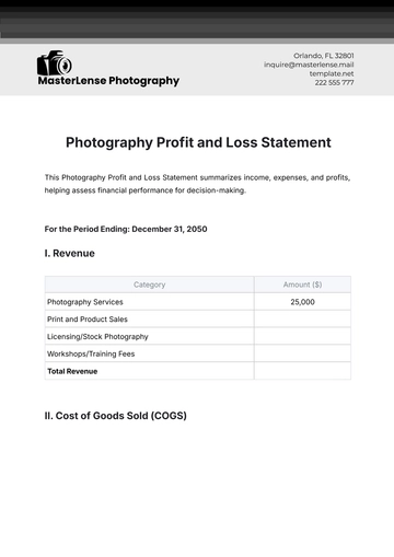 Free Photography Profit and Loss Statement Template to Edit Online