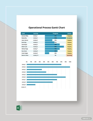 Operational Process Gantt Chart Template