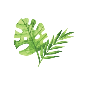 Free Watercolor Summer Clipart to Edit Online