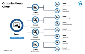 Free B2B Organizational Chart Template to Edit Online