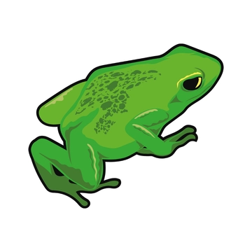 Free Realistic Frog Clipart to Edit Online