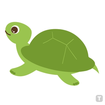 Free Green Turtle Clipart to Edit Online