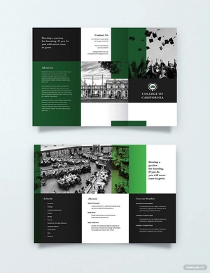 Creative College Brochure Template