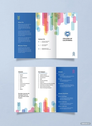 Modern College Brochure Template