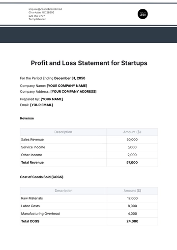 Free Profit and Loss Statement for Startups Template to Edit Online