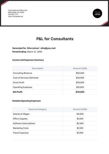 Free P&L Template for Consultants to Edit Online
