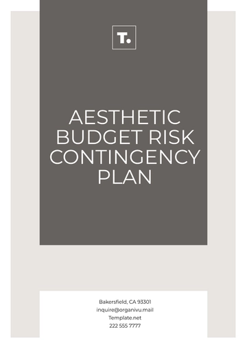 Free Aesthetic Budget Risk Contingency Plan Template to Edit Online