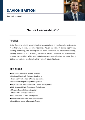 Free Senior Leadership CV Template to Edit Online