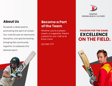 Free Cricket Brochure Template to Edit Online Free Cricket Brochure Template to Edit Online