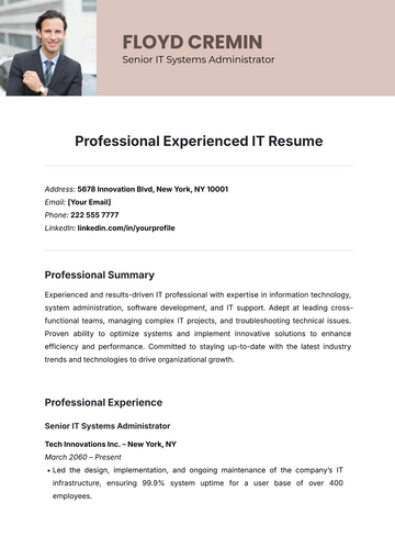 Free Professional Experienced IT Resume Template to Edit Online