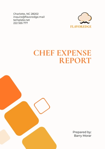 Free Chef Expense Report Template to Edit Online