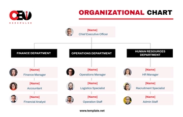 Free CEO Organizational Chart Template to Edit Online
