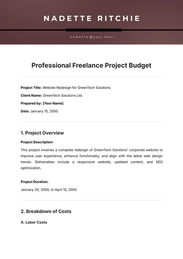 Free Professional Freelance Project Budget Template to Edit Online