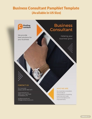 Business Consultant Pamphlet Template