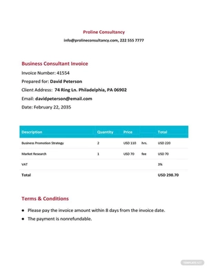 Business Consultant Invoice Template