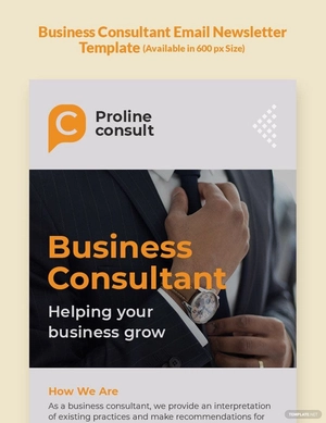 Business Consultant Email Newsletter Template