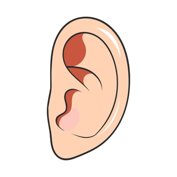 Free Ear Clipart to Edit Online