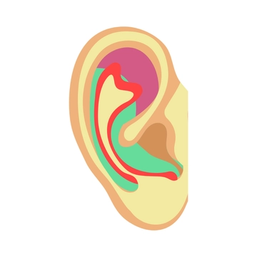 Free Colorful Ear Clipart to Edit Online
