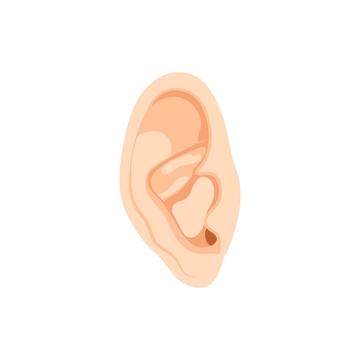 Free Medical Ear Clipart to Edit Online