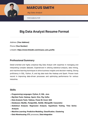 Free Big Data Analyst Resume Format Template to Edit Online