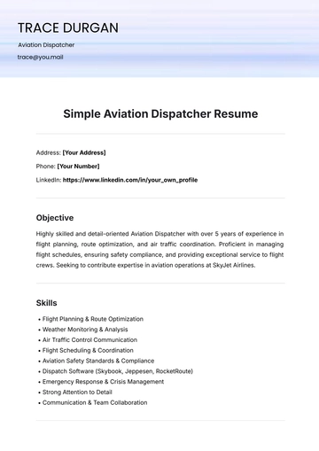 Free Simple Aviation Dispatcher Resume Template to Edit Online
