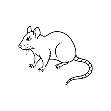 Free Rat Outline Clipart to Edit Online