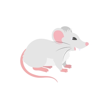 Free Rat Vector Clipart to Edit Online