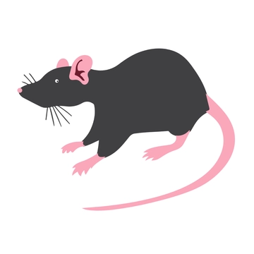 Free Rat Clipart Free Download to Edit Online