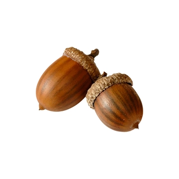 Free Realistic Acorn Clipart to Edit Online Free Realistic Acorn Clipart to Edit Online