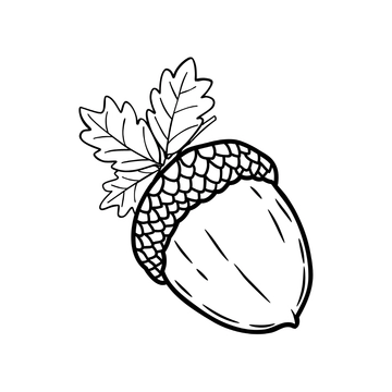 Free Transparent Acorn Clipart to Edit Online Free Transparent Acorn Clipart to Edit Online