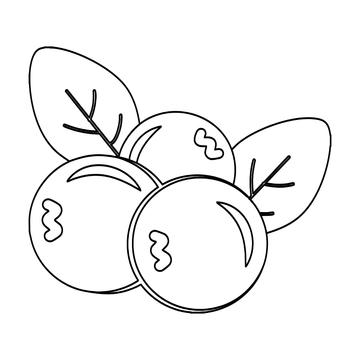 Free Transparent Blueberry Clipart to Edit Online