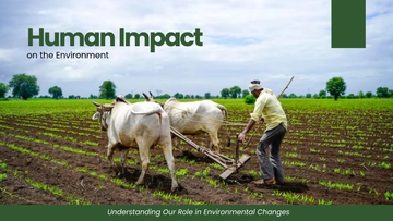 Free Human Impact On The Environment Presentation Template to Edit Online