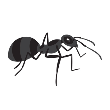 Free Black Ant Clipart to Edit Online