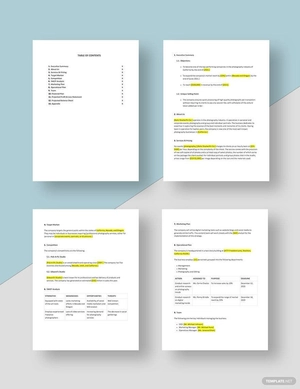 Freelance Photography Business Plan Template