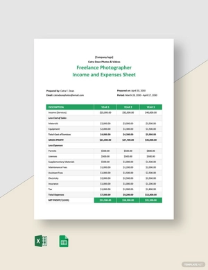 Freelance Photographer Income and Expenses Sheet Template