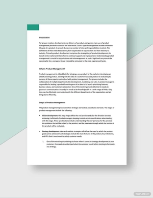 Product Management White Paper Template