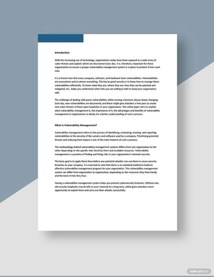 Vulnerability Management White Paper Template