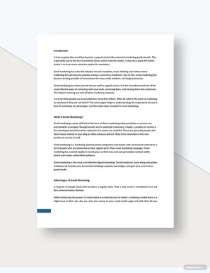 Email Marketing White Paper Template