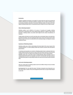 Marketing Analytics White Paper Template