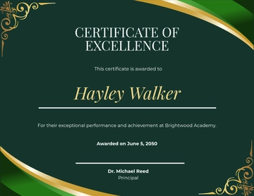 Certificate of Excellence Award Template - Download | Template.net