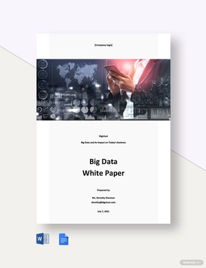 Big Data White Paper Template