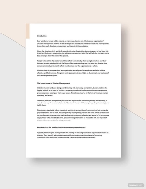 Disaster Management White Paper Template