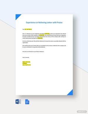 Experience or Relieving Letter with Praise